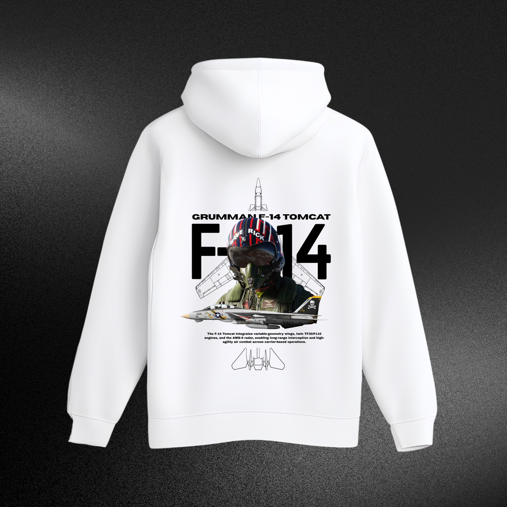 Sudader F-14 Tomcat
