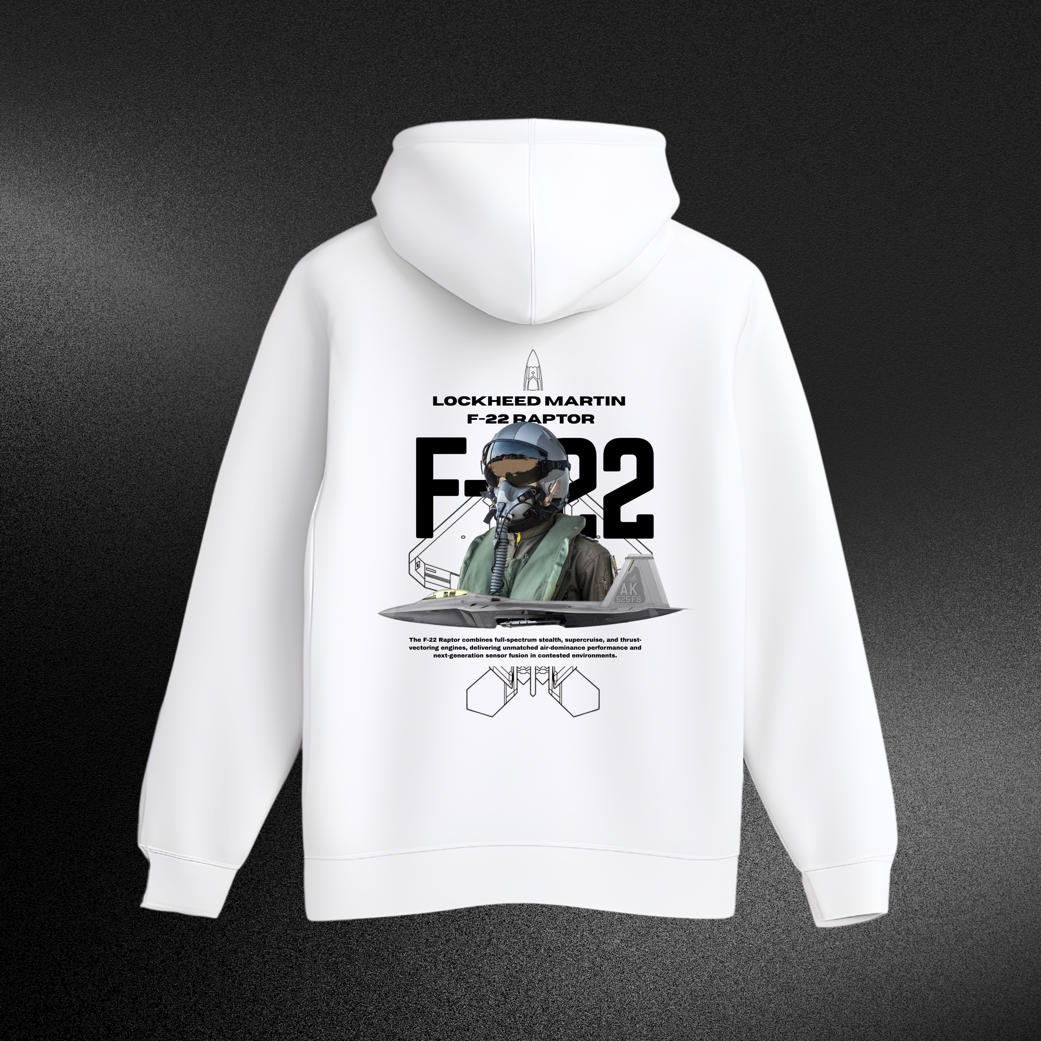 Sudader F-22 Raptor